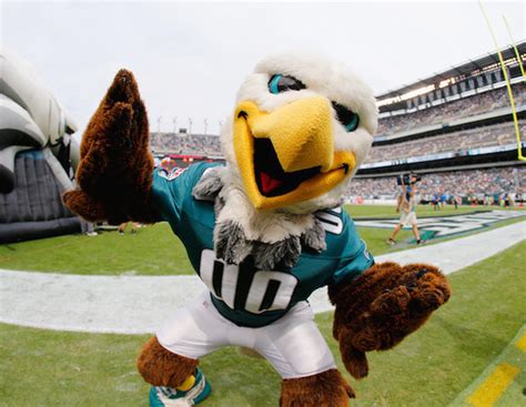 The Art of Designing Bird Mascots for the NFL